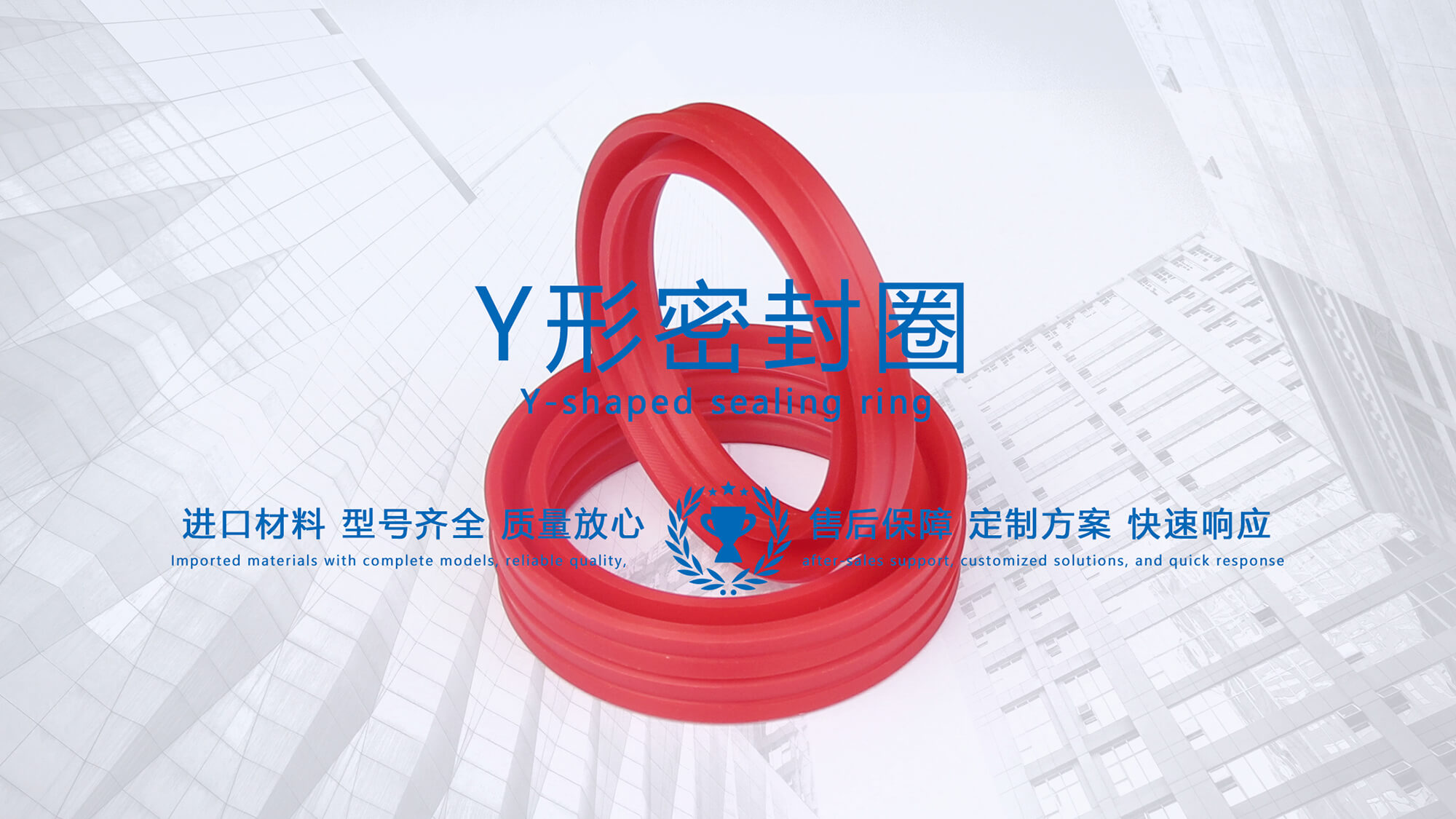 y型密封圈（又Y形密封圈，Y形圈，Y型圖或唇形密封圈，密封件油封膜片） (2)