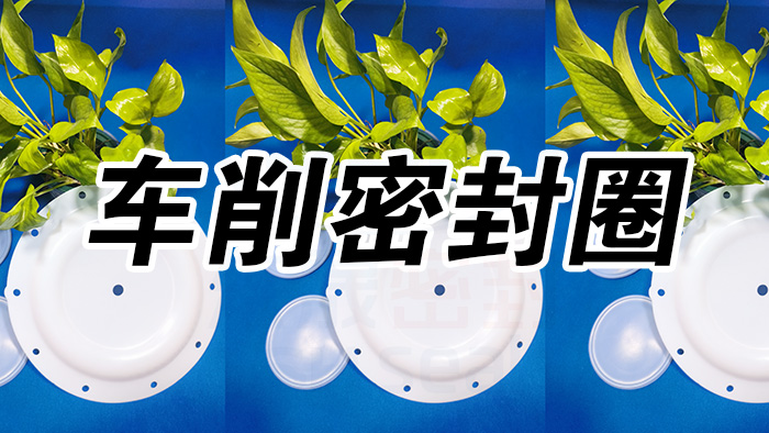 2車削密封圈，氣動隔膜泵膜片密封件